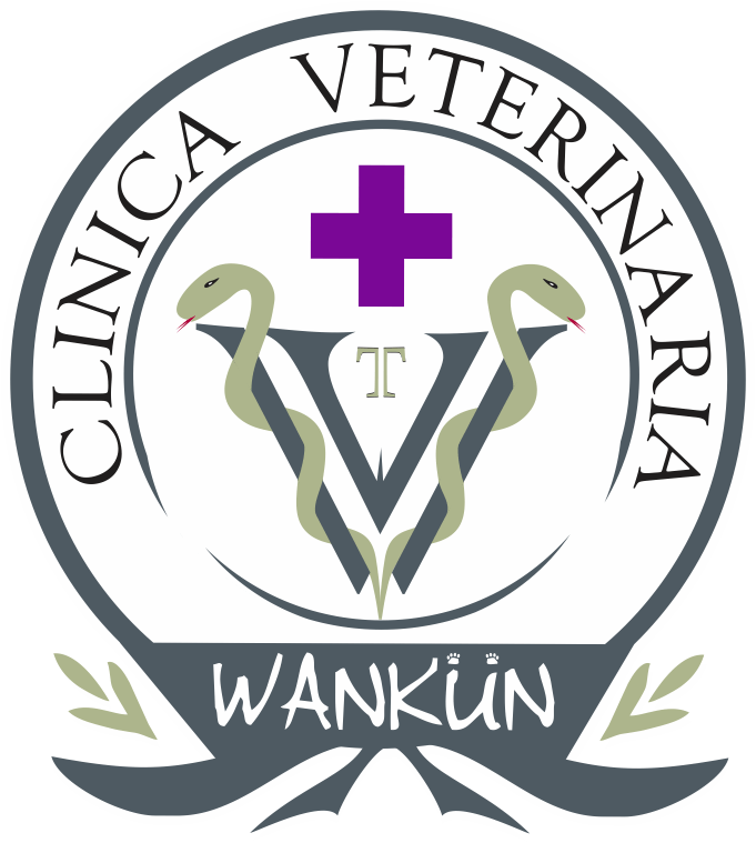 Veterinaria Wankun