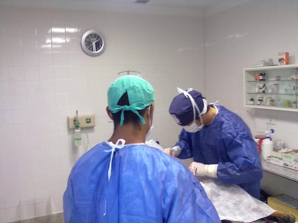 Cirugía en Clínica Veterinaria Wankün